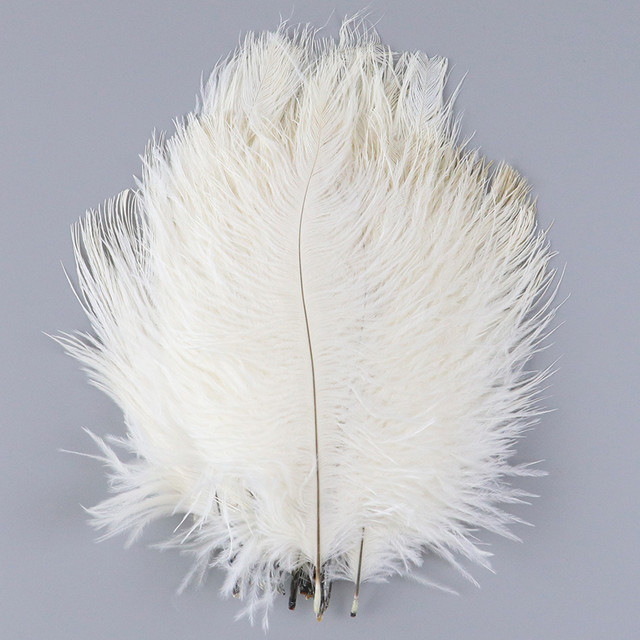 10pcs 15cm-20cm White Natural Ostrich Feathers For Vase Decoration Carnival  Wedding Accessories Feather For Crafts Wholesale - Feather - AliExpress